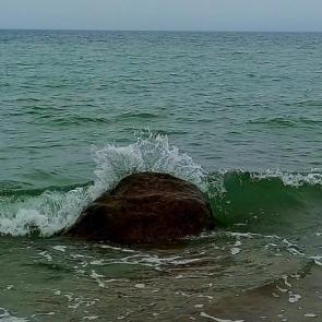����: 
