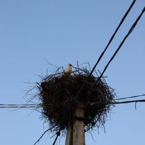 ����: ���� ����