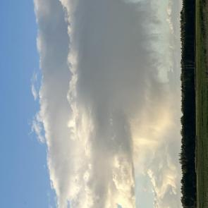 ����: 