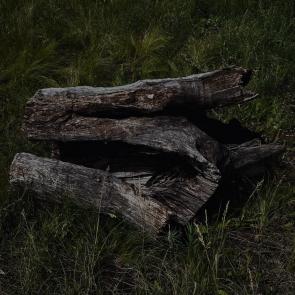 ����: 