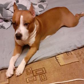 ����: 