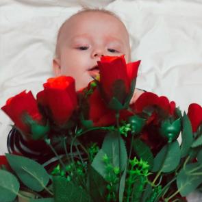 ����: 