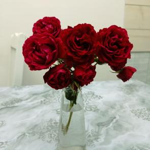 ����: ���� ����