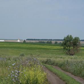 ����: 