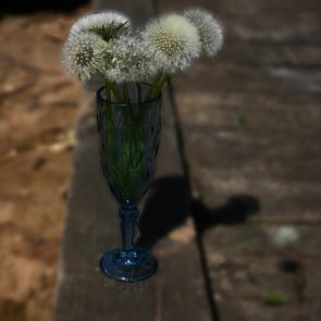 ����: 