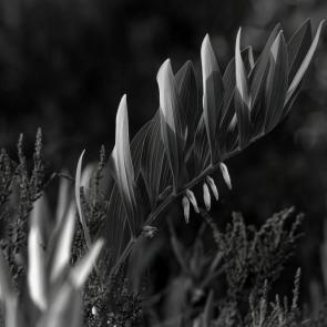 ���� ��������: 