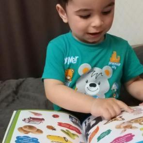����: ������ �����