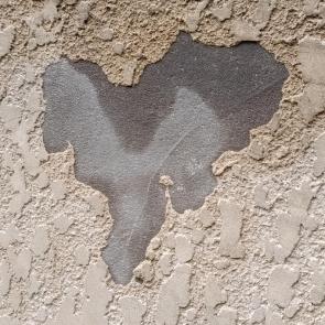 ����: ������