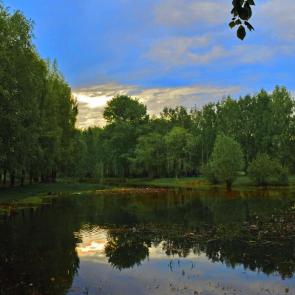 ����: ������� ����