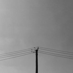 ���� ��������: 