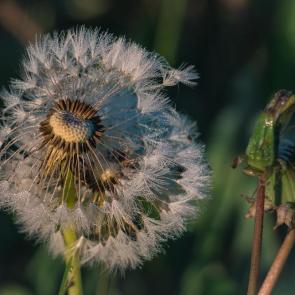 ���� ��������: ����� � ����� ... 