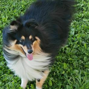 ����: ��� � �����