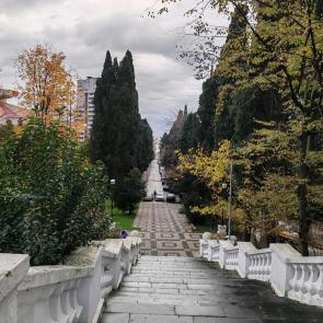 ����: 