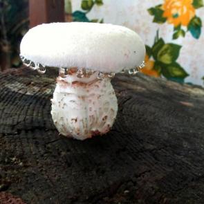 ����: ����� ���� ����� � �����