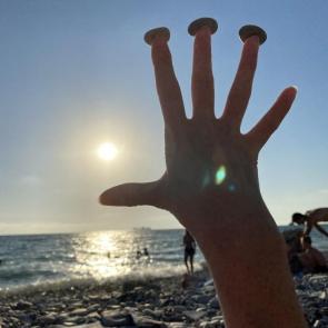 ����: �����