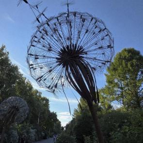 ���� ��������: 