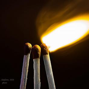 ����: ���������� ������