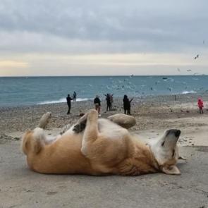 ����: �����- ��������