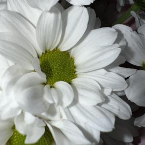 ����: 