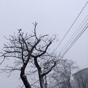 ����: 