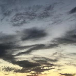 ����: ������������