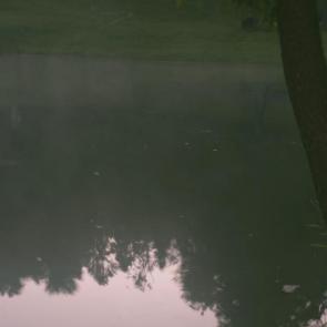 ����: 