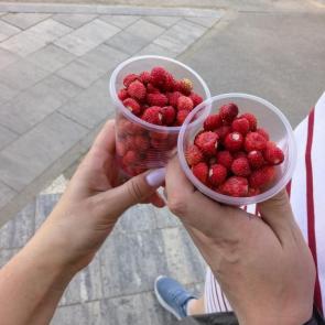 ����: ���� � �����