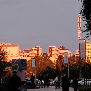 ����: �����