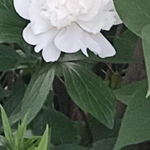 ����: 