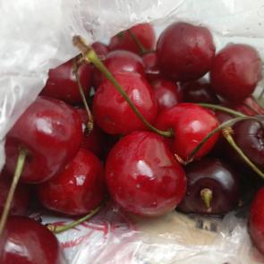 ���� ��������: �����