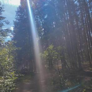 ����: 