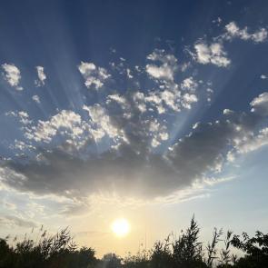 ����: �������