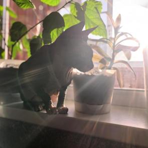 ����: 
