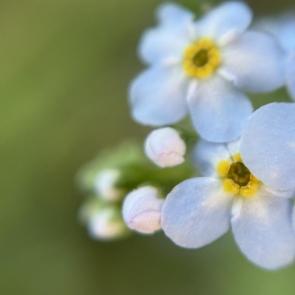 ���� ��������: 