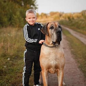 ����: ���� � ������ ����� � ����... 