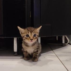 ����: 