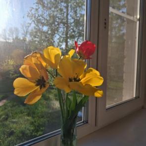 ���� ��������: ��������-���