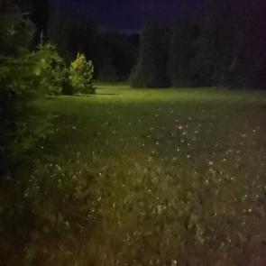 ����: 