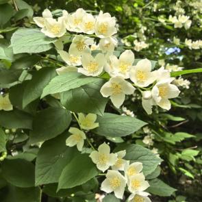 ����: ��������� ������