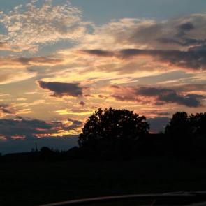 ����: 