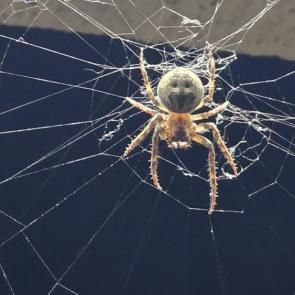 ����: ������ �������