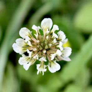 ����: 