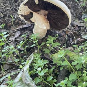 ����: ���� � �����