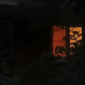 ����: 