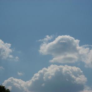 ����: ������