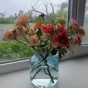 ����: 