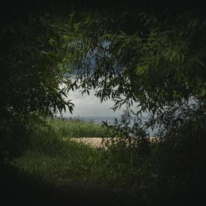 ����: ��������� 