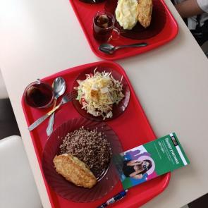 ����: ���� �������