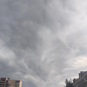 ����: �����������