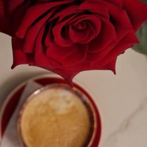 ����: ��������